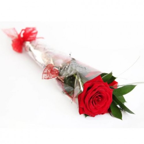 Single Red Rose